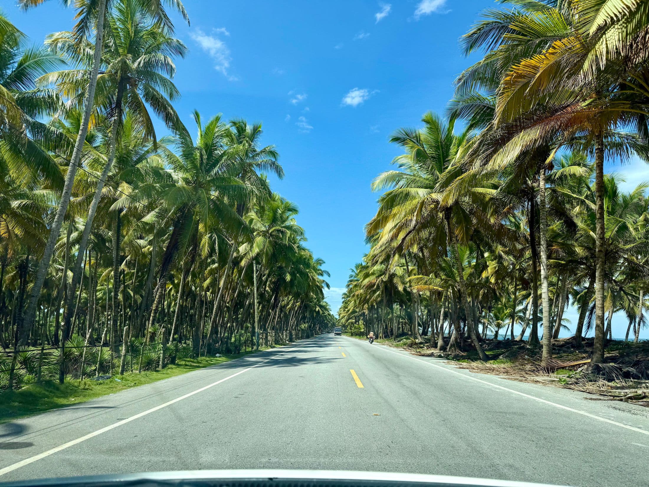 Scenic road trip from Cabarete to Samaná in the Dominican Republic with tropical palm trees and coastal views