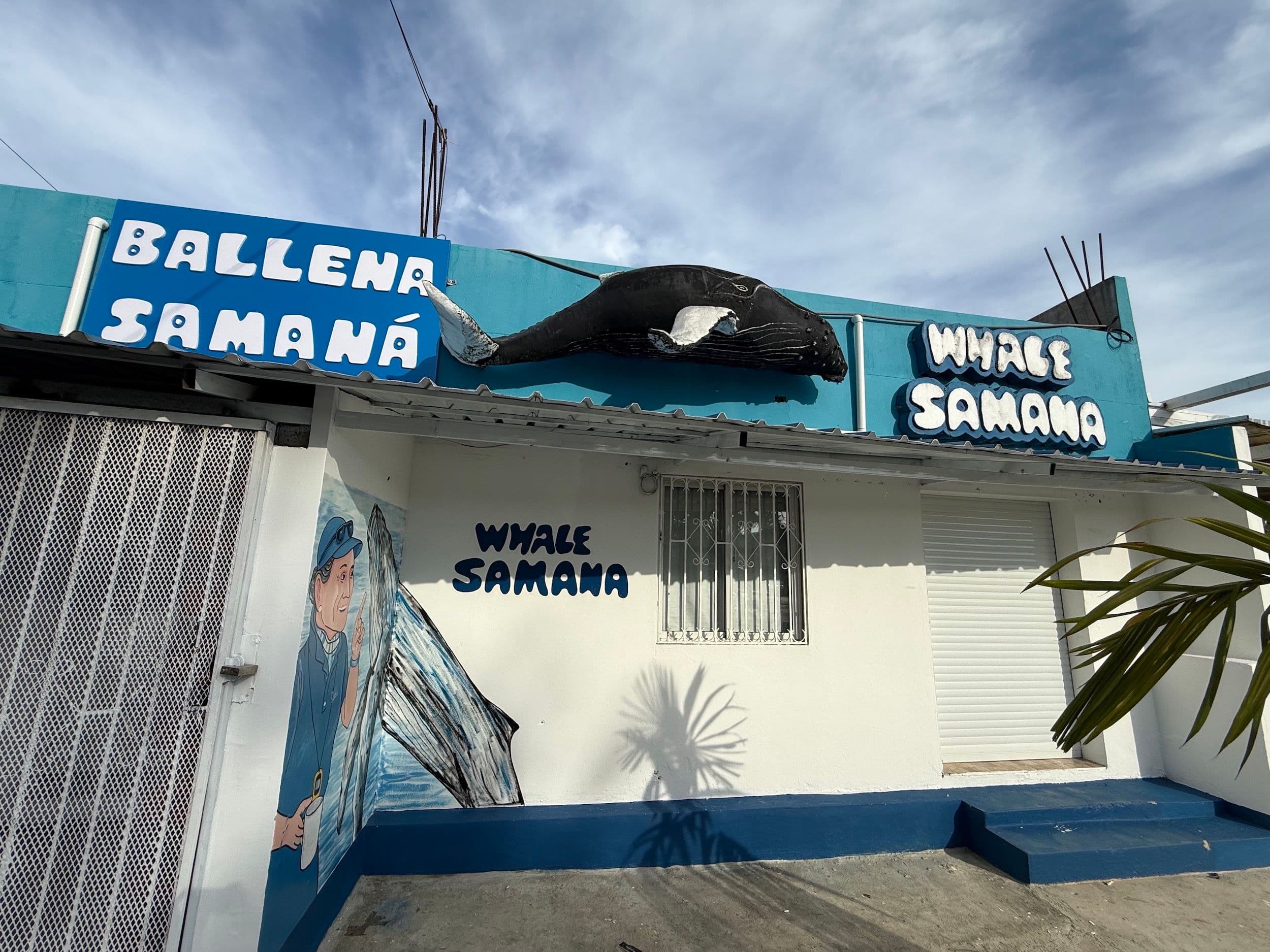 Whale watching tour in Samaná Bay, Dominican Republic, during humpback whale season